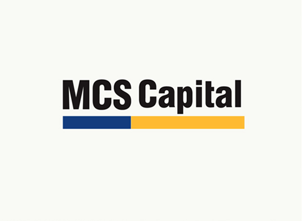MCS标识VI标识VI一
